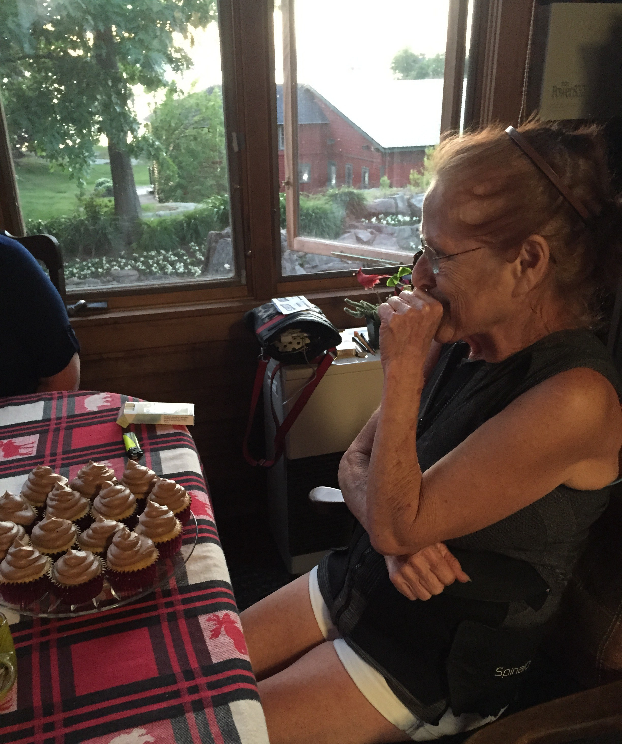 Mary's Birthday Cupcakes 2016